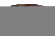  157592 - 16" Wide Whispering Pines Flushmount