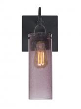  1WG-JUNI10PL-EDIL-BK - Besa Juni 10 Wall, Plum Bubble, Black Finish, 1x7W LED Filament