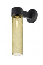  JUNI16GD-WALL-BK - Besa, Juni 16 Outdoor Sconce, Gold Bubble, Black Finish, 1x60W Medium Base