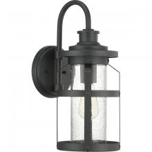  P560095-031 - Haslett Collection One-Light Medium Wall Lantern