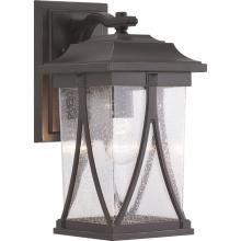  P560114-020 - Abbott Collection One-Light Medium Wall Lantern