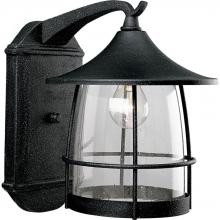  P5764-71 - Prairie Collection One-Light Large Wall Lantern