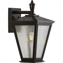  P560167-020 - Cardiff Collection One-Light Medium Wall Lantern with DURASHIELD