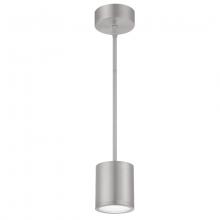 WAC US PD-W2605-AL - TUBE Outdoor Pendant Light