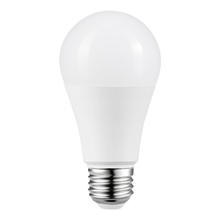 BULB