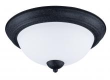  21651SWTXB - Taylor-Flush Mount