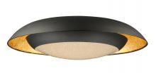  35074CYGLBK - Iris-Flush Mount