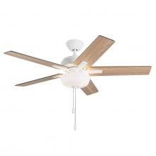 Ceiling Fans with Light