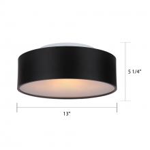  IFM318A13BK - Dexter, IFM318A13BK, MBK Color, 2 Lt Flushmount, 60 W Type A, 13" W x 5.25" H, Eash Connect