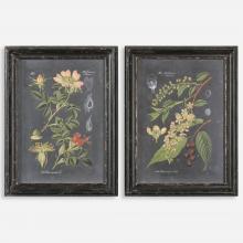  56053 - Uttermost Midnight Botanicals Wall Art S/2