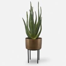  60217 - Uttermost Arabia Aloe Planter