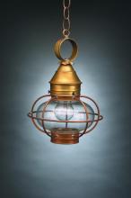  2522-AC-MED-CSG - Caged Onion Hanging Antique Copper Medium Base Socket Clear Seedy Glass