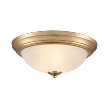  7013FM/50 - FLUSH MOUNT